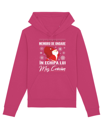 Echipa lui Mos Craciun Raspberry