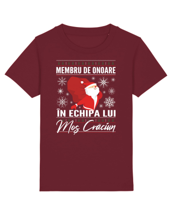 Echipa lui Mos Craciun Burgundy
