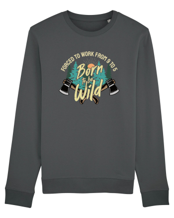 Born to be wild - Forced to work from 9 to 5 Anthracite