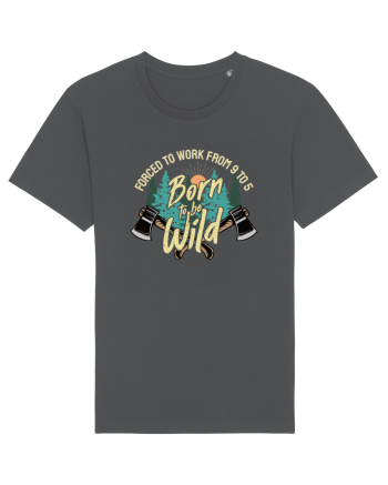Born to be wild - Forced to work from 9 to 5 Anthracite