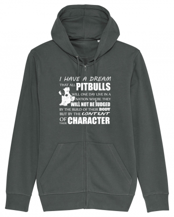 PITBULLS Anthracite