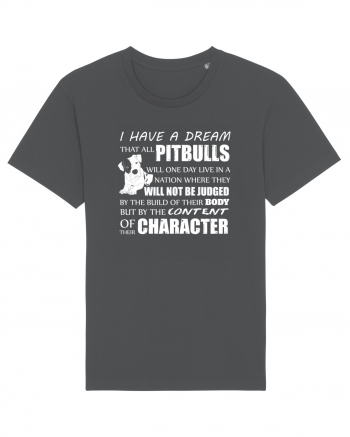 PITBULLS Anthracite