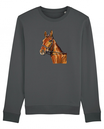 Horse Anthracite