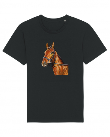 Horse Black