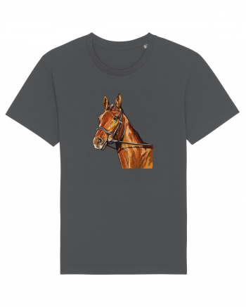 Horse Anthracite