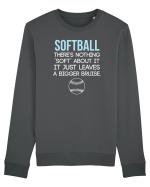 SOFTBALL Bluză mânecă lungă Unisex Rise