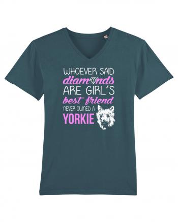 YORKIE Stargazer