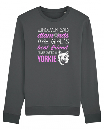 YORKIE Anthracite