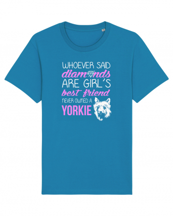 YORKIE Azur