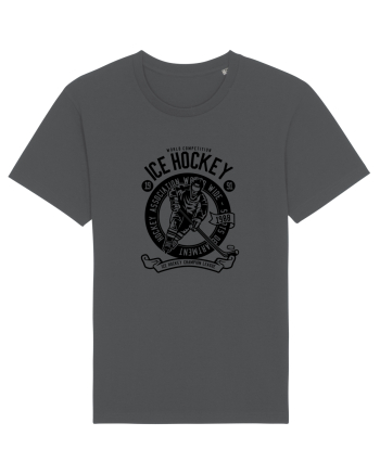 Ice Hockey Championship Black Anthracite