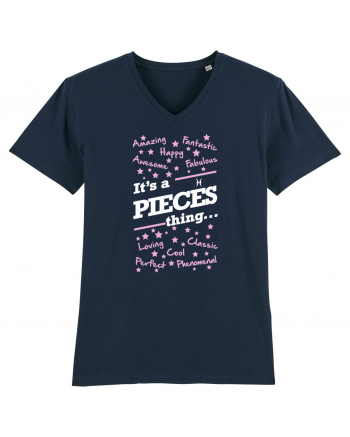PIECES French Navy