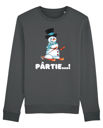 Pârtie... schior Incepător! Feriți-vă! Anthracite