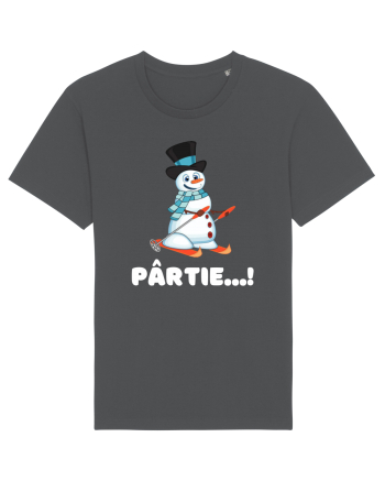 Pârtie... schior Incepător! Feriți-vă! Anthracite
