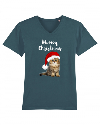 Merry Christmas...? Nu... Meowy Christmas!! Stargazer