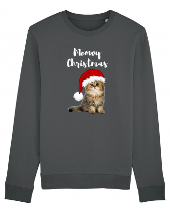 Merry Christmas...? Nu... Meowy Christmas!! Anthracite