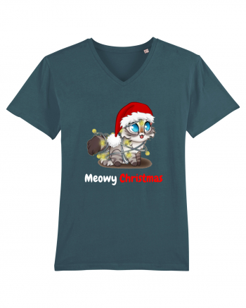 Merry Christmas...? Nu... Meowy Christmas! Stargazer