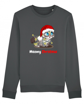 Merry Christmas...? Nu... Meowy Christmas! Anthracite