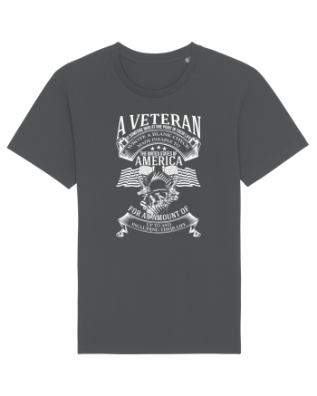 VETERAN Anthracite