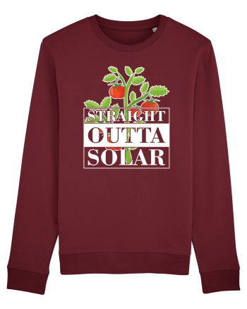 Straight outta solar Burgundy