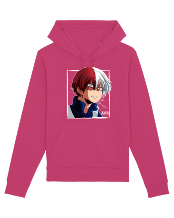 Shoto Todoroki Raspberry