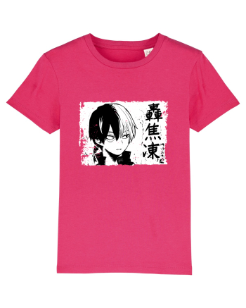  Shoto Todoroki  Raspberry