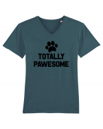 PAWSOME Tricou mânecă scurtă guler V Bărbat Presenter