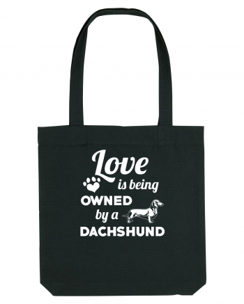 DACHSHUND Black