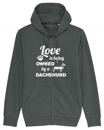 DACHSHUND Anthracite