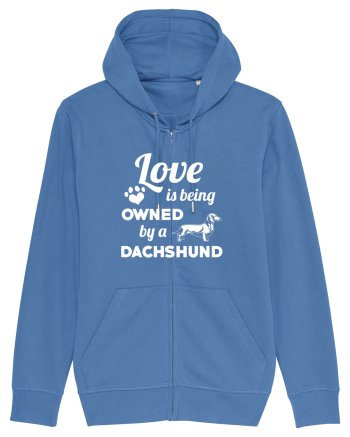 DACHSHUND Bright Blue