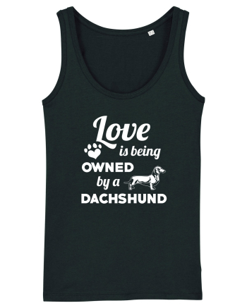 DACHSHUND Black