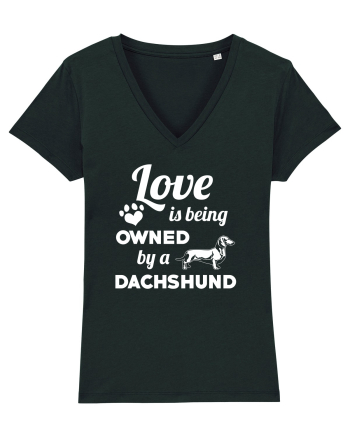 DACHSHUND Black