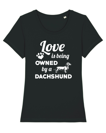 DACHSHUND Black