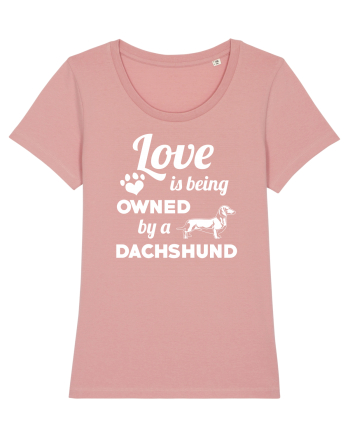 DACHSHUND Canyon Pink