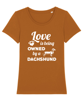 DACHSHUND Roasted Orange