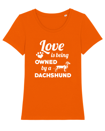 DACHSHUND Bright Orange