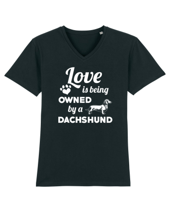 DACHSHUND Black