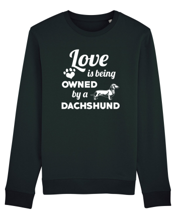 DACHSHUND Black