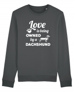 DACHSHUND Bluză mânecă lungă Unisex Rise