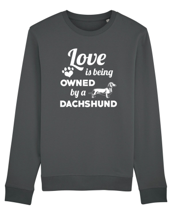 DACHSHUND Anthracite