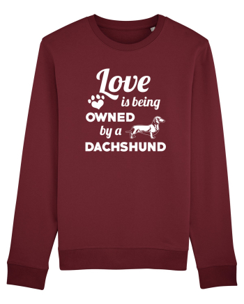 DACHSHUND Burgundy