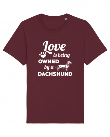 DACHSHUND Burgundy