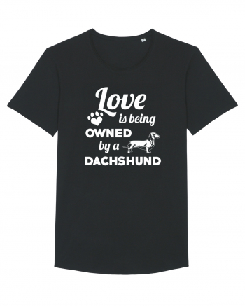 DACHSHUND Black