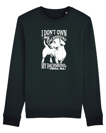 DACHSHUND Black