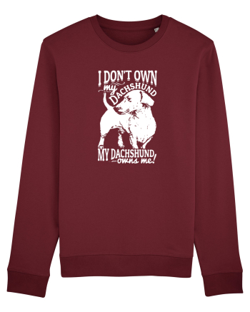 DACHSHUND Burgundy