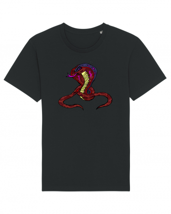 MONEY KING COBRA Black