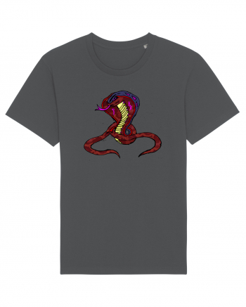 MONEY KING COBRA Anthracite