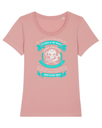 Repair Canyon Pink