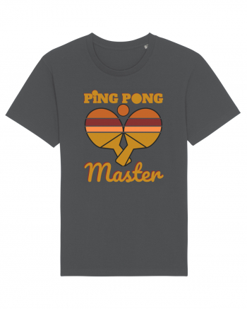 Ping Pong Master Anthracite