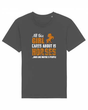 HORSES Anthracite