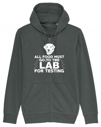 LAB TESTING Anthracite